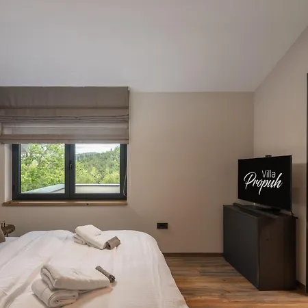 Propuh By Interhome Villa